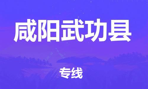 邯鄲到咸陽(yáng)武功縣物流公司-貨運(yùn)公司丟損必賠-天天發(fā)車