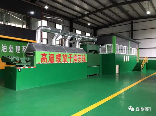 餐廚垃圾變廢為寶 與地溝油告別，邁向可持續飼料新篇章