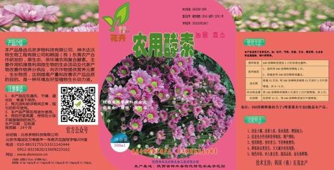 揭秘農用酵素十大功效 從菊花花卉到土壤改良的神奇力量